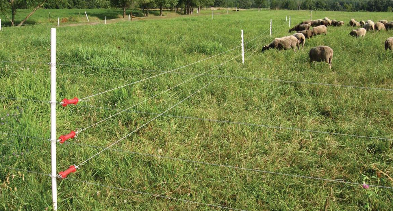 Electric Fence System