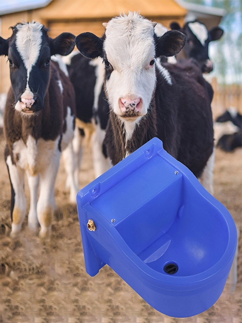 Key Considerations for Selecting a Livestock Water Bowl