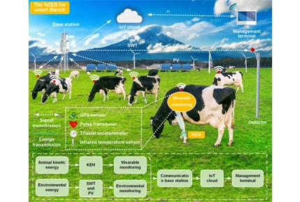 Smart Ranch System - Smart Ranch Solution