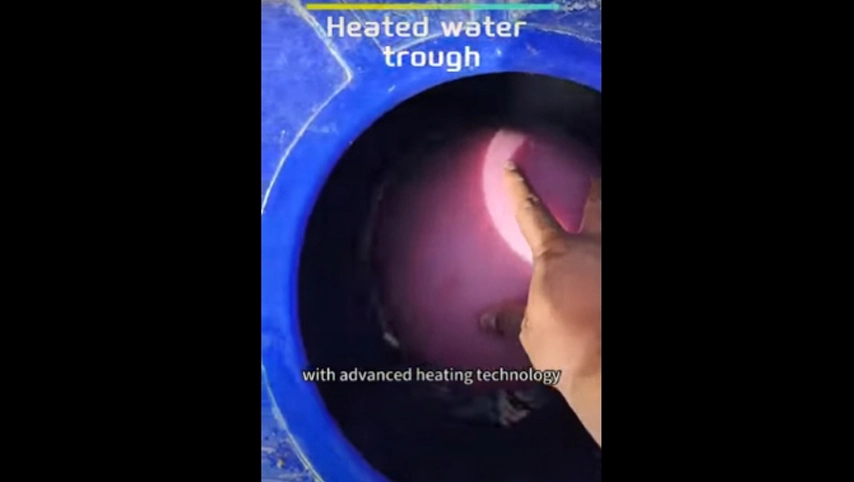 heated water trough