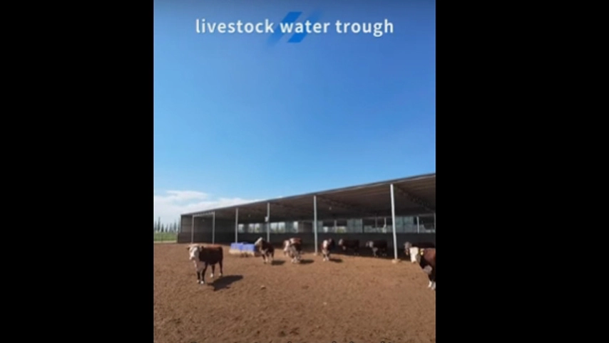 livestock water trough