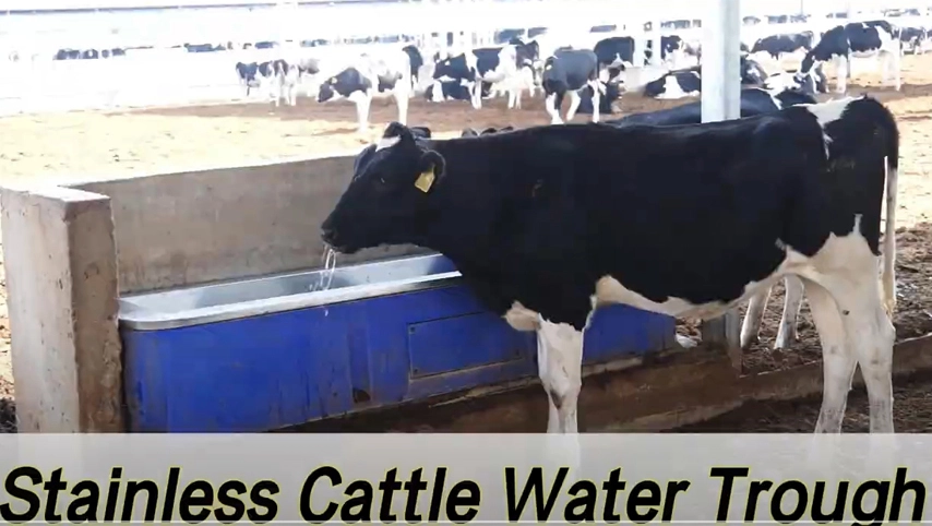 terrui-stainless cattle water trough