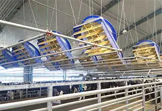 cooling-fan-for-poultry-farm