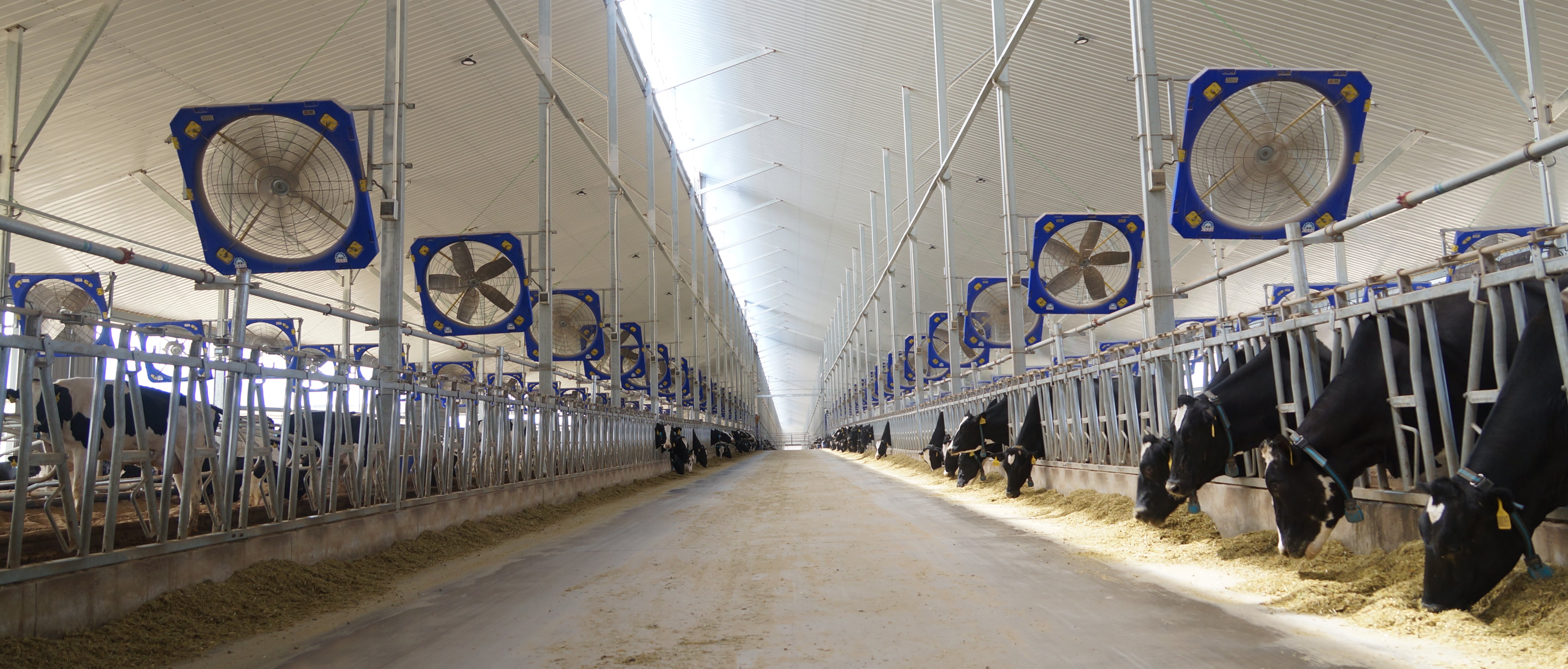 poultry_fan.jpg poultry_fan.jpg