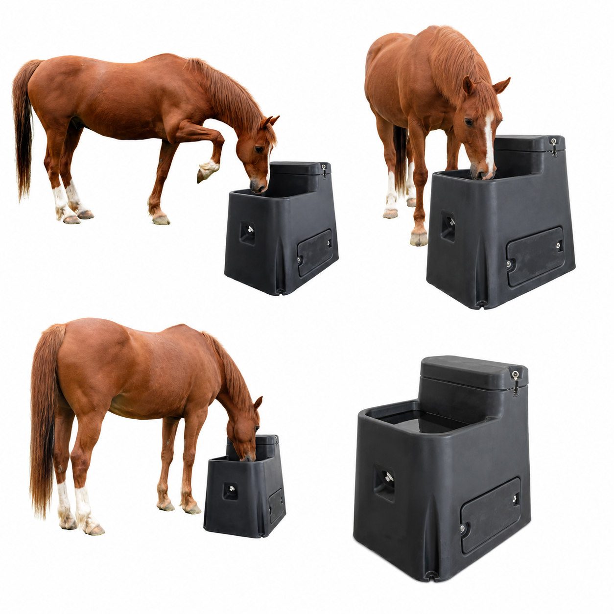 Terrui single hole horses water trough for winter equine colic prevention featuring insulated roto-molded polyethylene tank and automated float valve Terrui single hole horses water trough for winter equine colic prevention featuring insulated roto-molded polyethylene tank and automated float valve