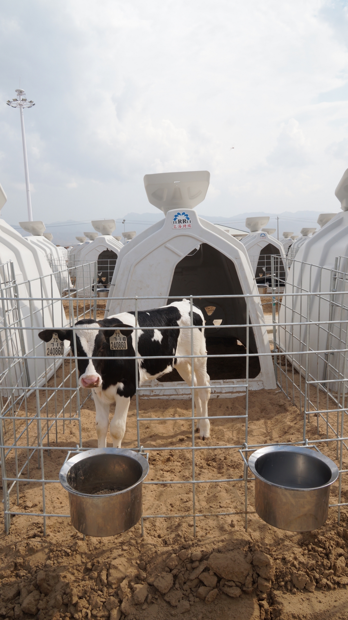 calf hutch ventilation system calf hutch ventilation system